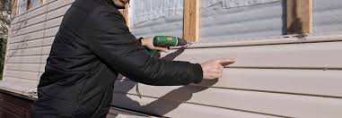 Affordable Siding Repair and Maintenance Services in Chesaning, MI